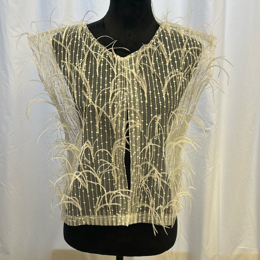 A beautiful white sequence with white feathers cover up
